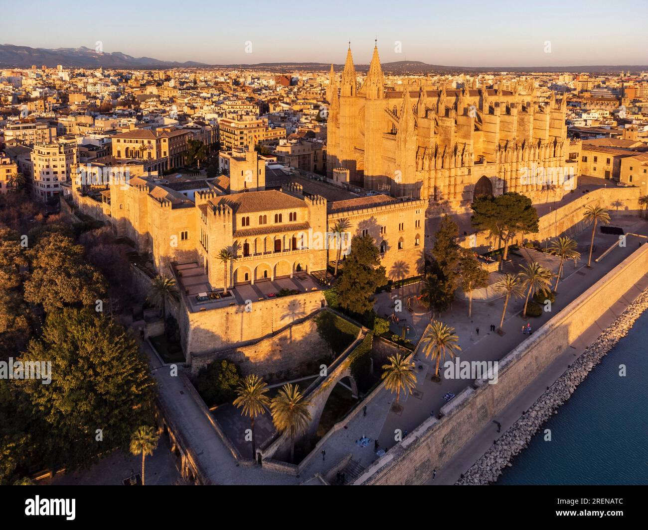 Visita al Palacio Real de la Almudaina Una experiencia histórica en Palma de Mallorca